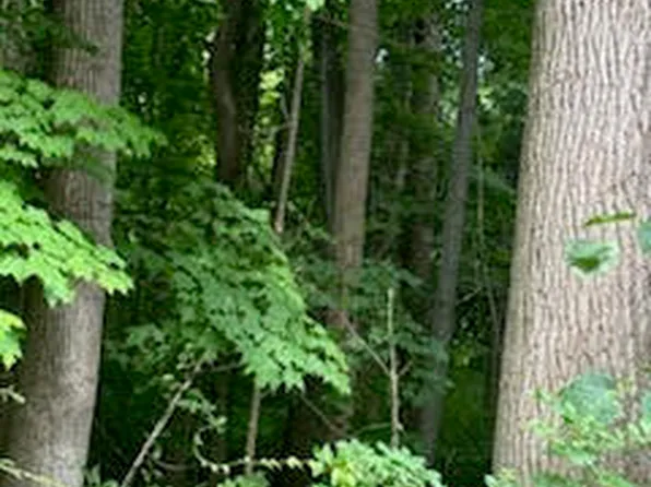 LOT 1A 73rd St, South Haven, MI 49090