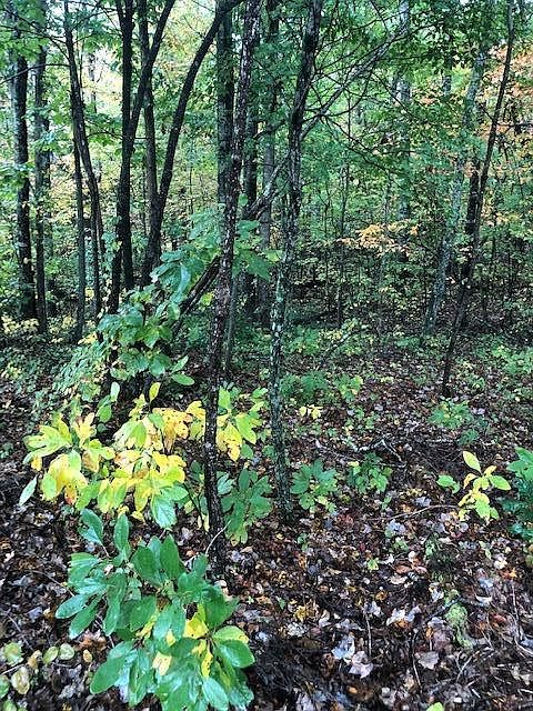 1st image of 617 Westchester Dr Lot 150