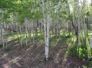 0 Selkirk Ln, Jefferson, CO 80456