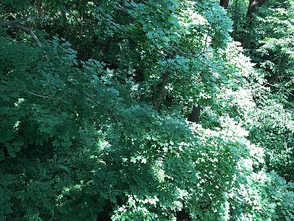 Lot for Sale .041 Acre