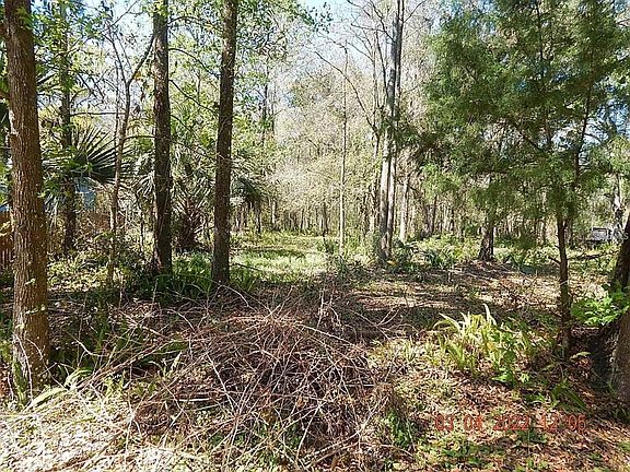 3rd image of 1026 BUIST STREET LOT 17