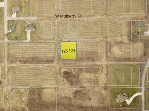 Lots 124 125 W Clyde St, Frankton, IN 46044