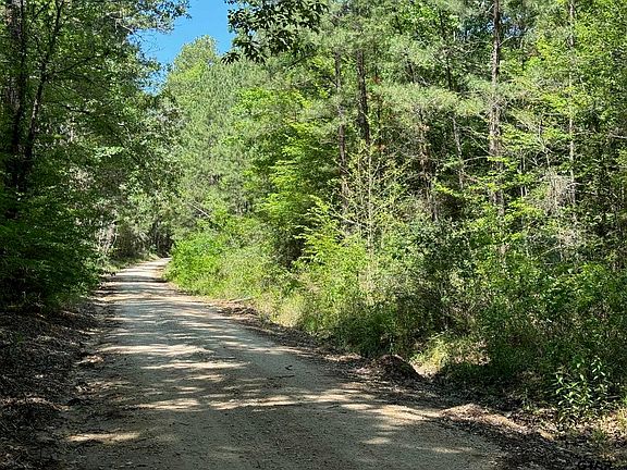 2nd image of County Road 4720