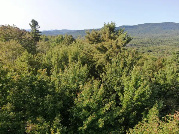 Lot# 55 Arlines Way, Woodstock, ME 04219