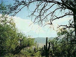 1st image of 1870 N Placita Buendia