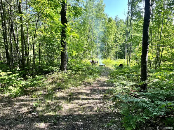 0 S Ross Rd, Barton City, MI 48705