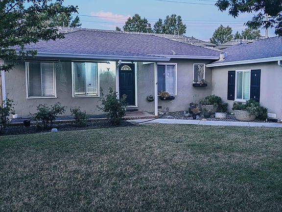 Front yard with large green lawn, mature fruit trees and numerous rose plants