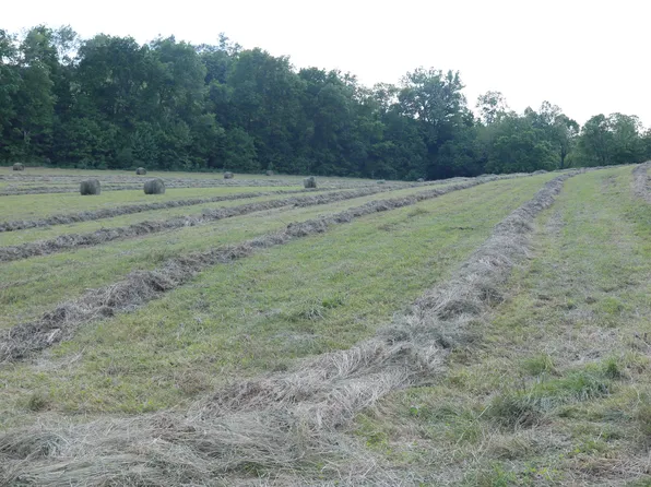 1A Upper Sharpsburg Rd, Carlisle, KY 40311