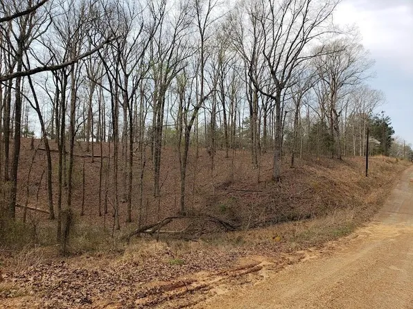 1172 Edgewood Dr, Saulsbury, TN 38067