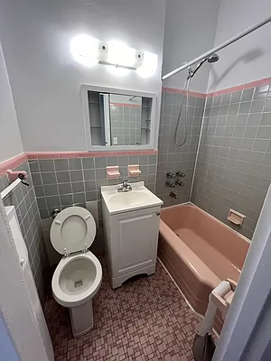 Rented by Manhattan Flats | media 17