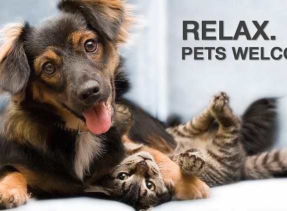 Pet Friendly 