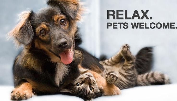 Pet Friendly 
