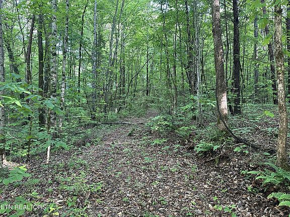 3rd image of 2 Unrestricted Land Graves Rd