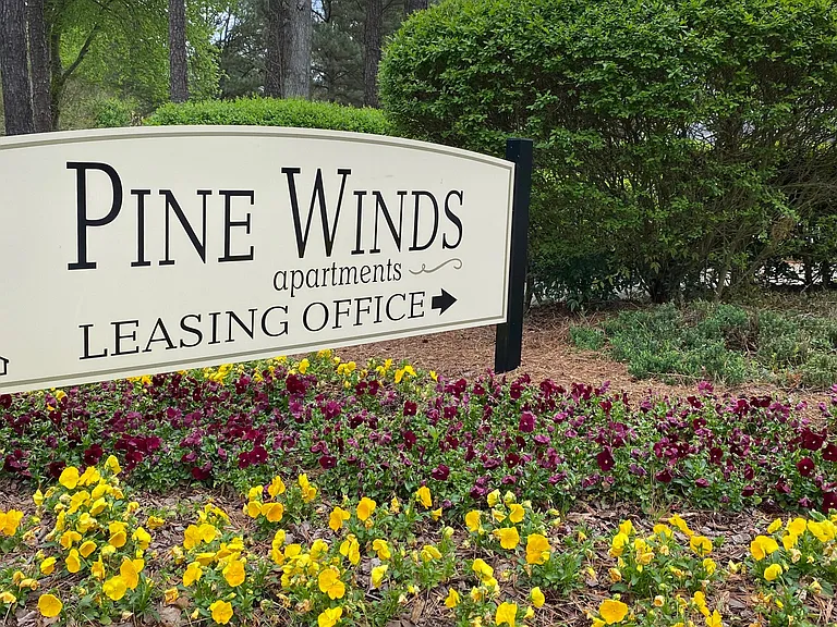 Pine Winds — Photo 16