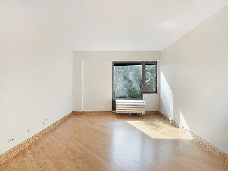 1169 S Plymouth Ct #301 — Photo 14