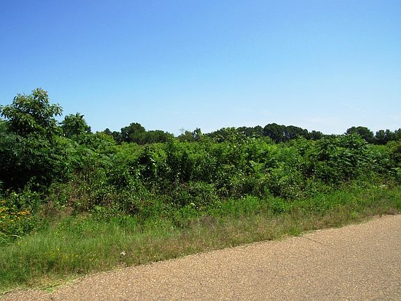 5th image of 674 Little River 70