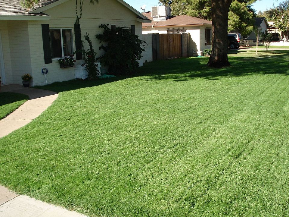 Great grass yard.