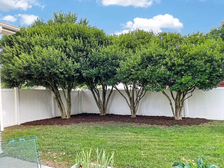 578 Donna Dr — Photo 17