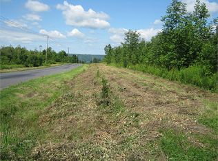 5255 Skinner Hill Rd, Moravia, NY 13118