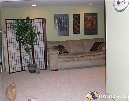 Downstairs Family Room