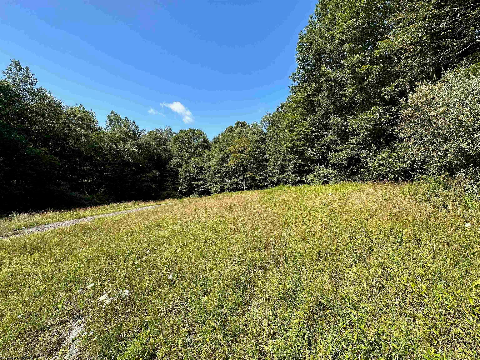 3 W View Ln, Masontown, WV 26542 MLS 10150492 Zillow