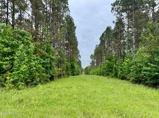 10 Mount Carmel Rd, Bailey, MS 39320