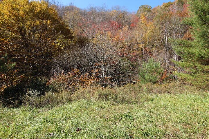 1st image of LOT 59 Laurel Way