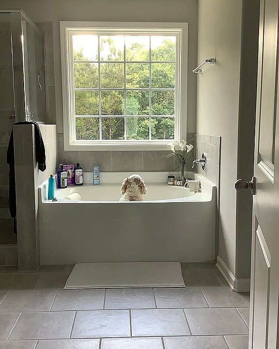 2nd image of 40 Gloria Way