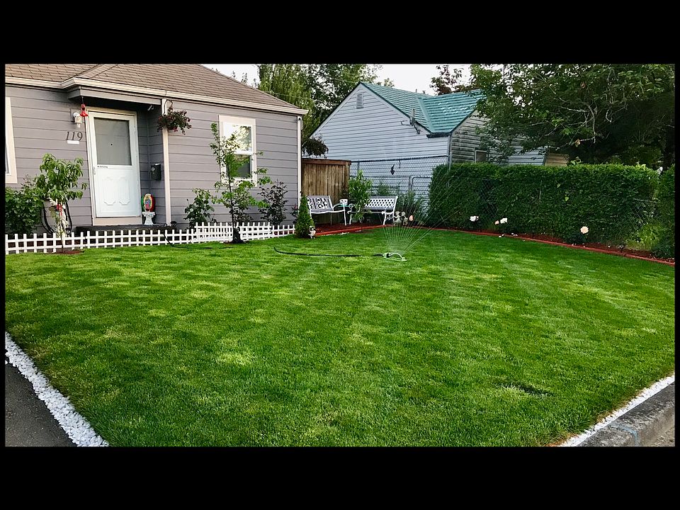 Front House Yard