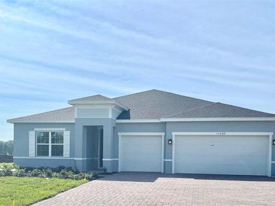 11049 Nellie Crossing Cir, Clermont, FL, 34711