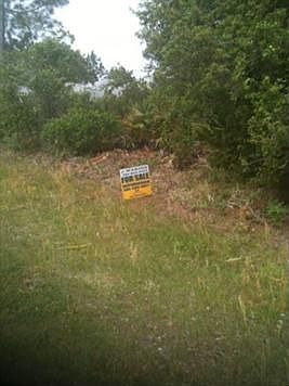 5th image of 33 Bronson Ln