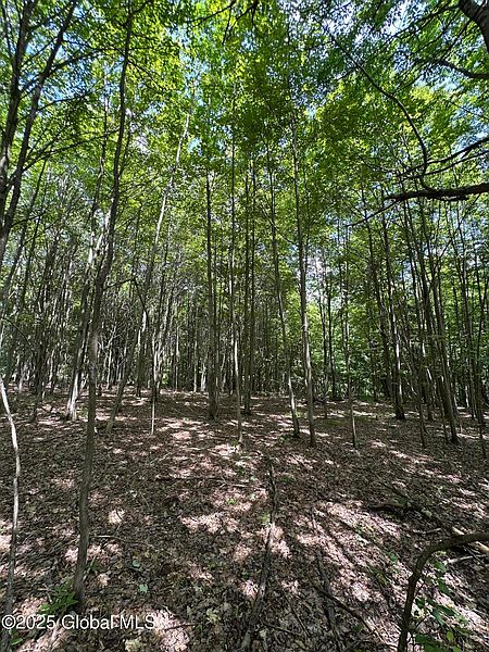 3rd image of L11 C Buel Road