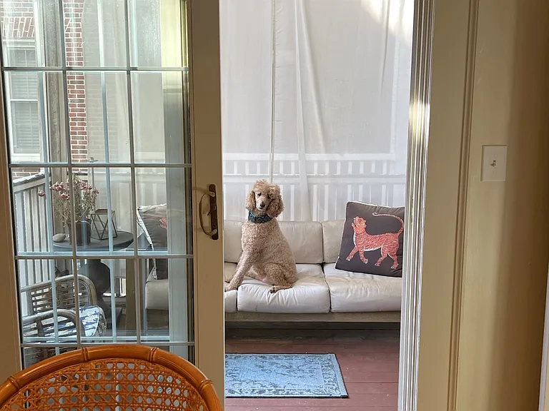 We are pet friendly!
