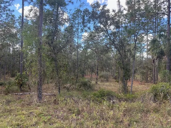 SE 129th Ct Lot 2, Dunnellon, FL 34431