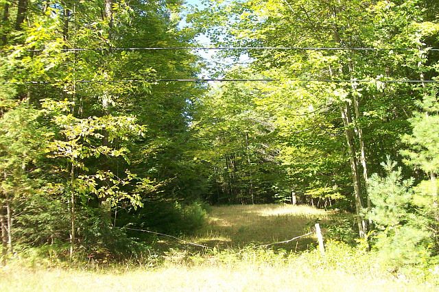 1st image of Lincoln Pond Road