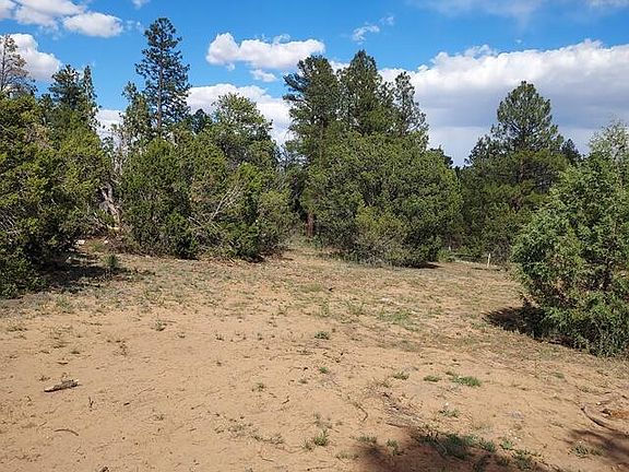 4th image of 3120-3122 Whitetail Way