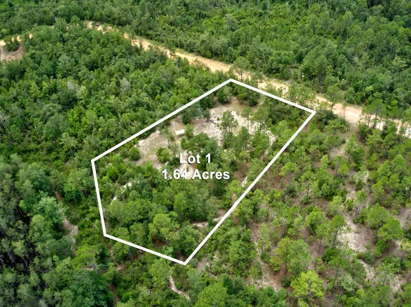 Adams Dr, Alford, FL 32420