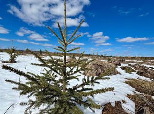 Truax D Ln, Cornell, MI 49818