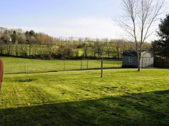 Back Yard - Shed