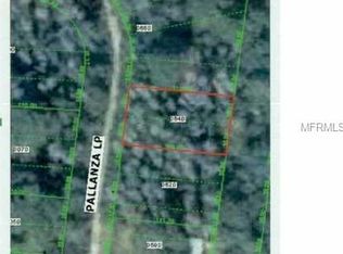 12561 Pallanza Loop, New Port Richey, FL 34654