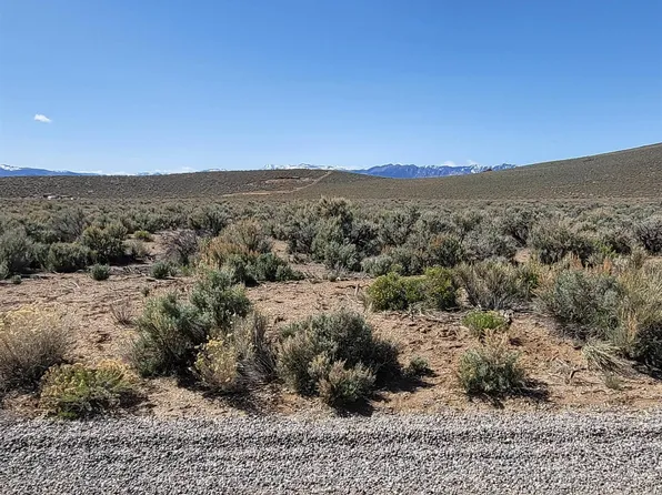 4276 Bosler Way, Wellington, NV 89444