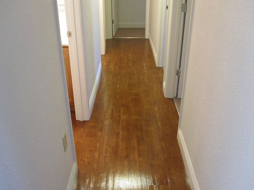 1st image of 1009 S 1st St #14587645