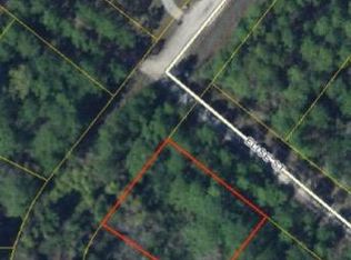 4 Delano St, Santa Rosa Beach, FL 32459