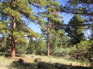 LOT 3 W Lobo Dr, Ramah, NM 87321