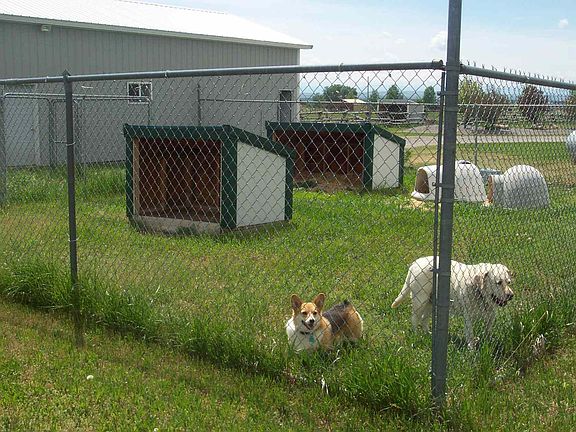 Dog Kennel