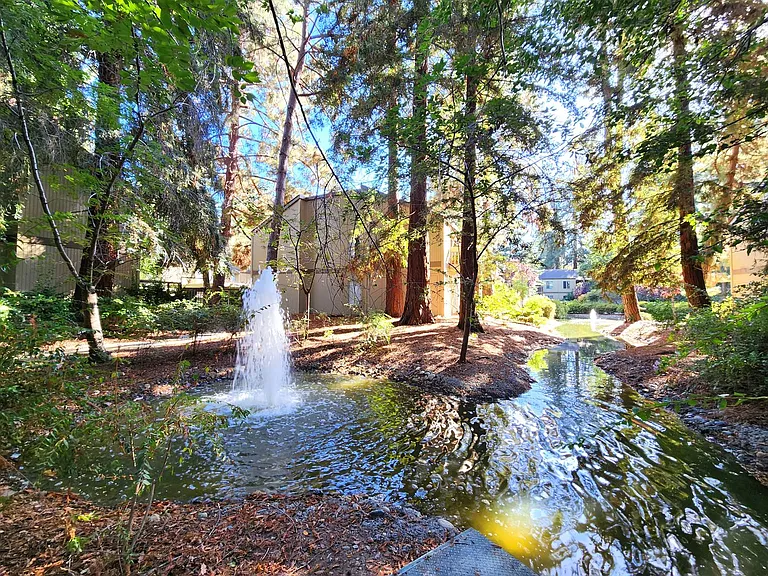505 Cypress Point Dr #209 — Photo 33