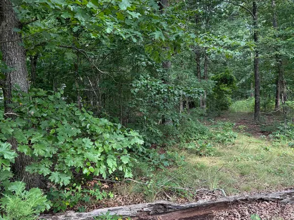 2830 Tiger B Rd, Drasco, AR 72530