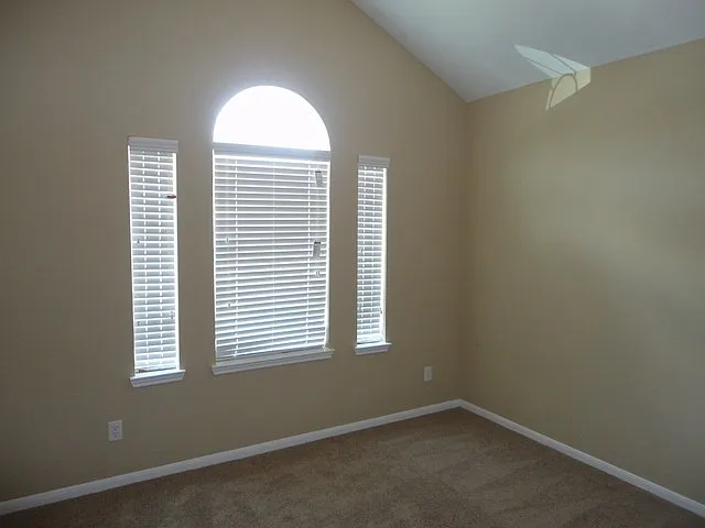19223 Anthurium Ct — Photo 12