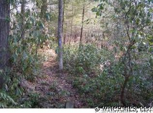 L-1 Steel Creek Rd LOT 1, Brevard, NC 28712