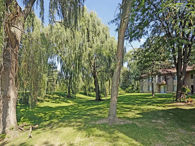 Beautiful Grounds
